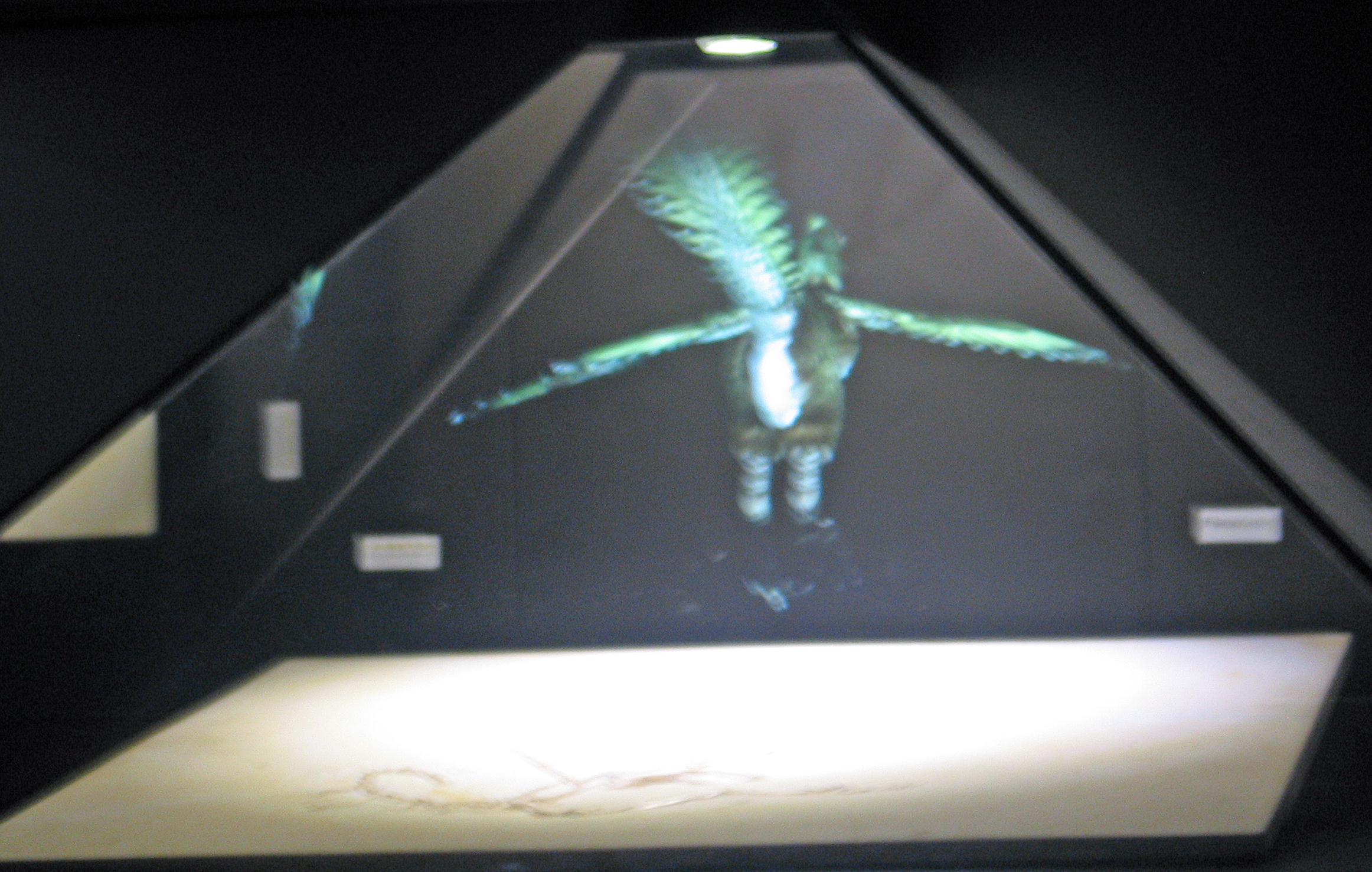 fliegendes fossil