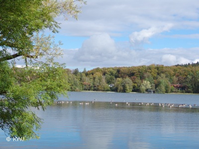 wesslinger-see-natur