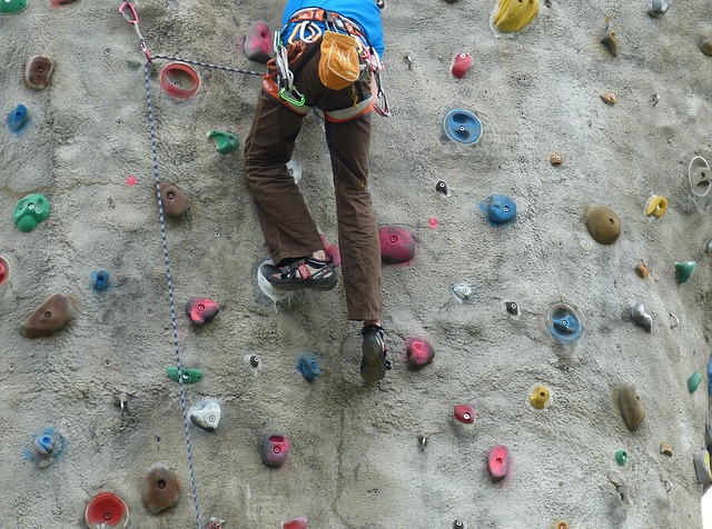 Photo by falco climbing wall photo
