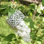IMG_6600
