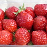2842525085_6bedcbe623_Strawberry