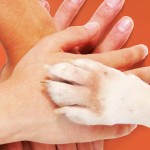 Handdraud-2